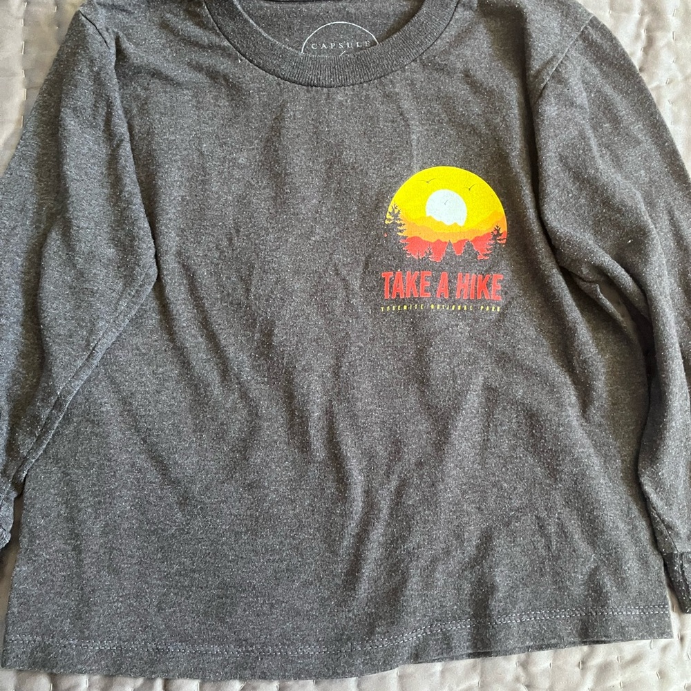 GUC Gray Long Sleeve Tee with Sunset Graphic